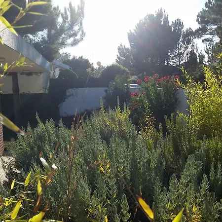 Number Ten Tatil Evi *
