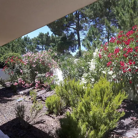 Tatil Evi Number Ten *